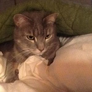 Meet your Posher, Leona